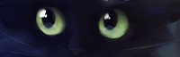 /album/fotos/kawaii-cat-jpg/